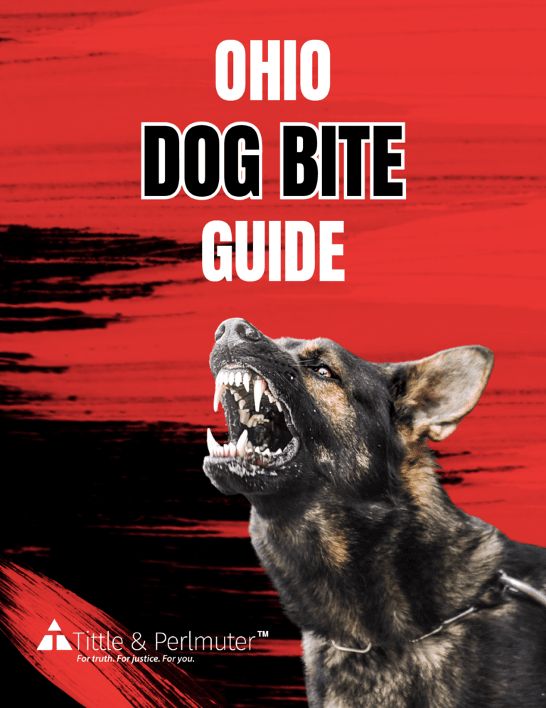 Ohio Dog Bite Guide